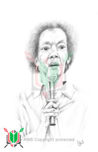 frances cress welsing