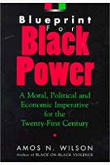 blueprint for black power